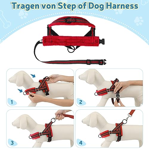 SlowTon Hundegeschirr mit Leine, Anti-Zug Geschirr, Verstellbare Reflektierend Welpengeschirr Brustgeschirr Sicherheitsgeschirr Anti-Erstickung Brustgeschirr für Kleine, Mittelgroße Hunde & Welpen