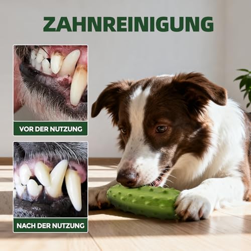LIFLIX Hundespielzeug Quietschend für Kauer, Harte Kauspielzeug Hund aus Naturkauschuck, Hundespielzeug Robust für Kleine Mittelgroße und Große Hunde, Gurke Form