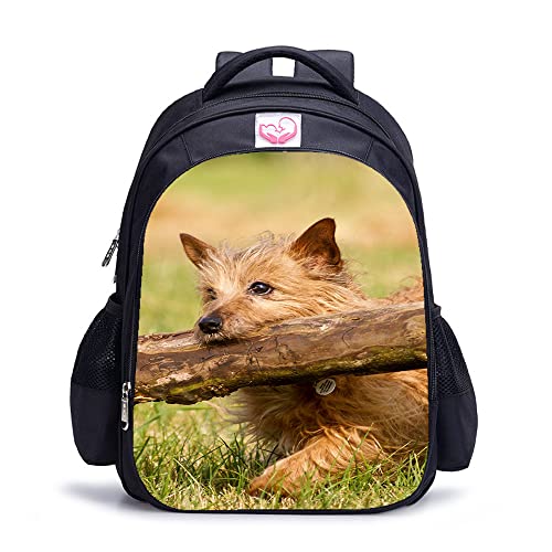 Sac à dos imprimé en 3D Terrier : Le cartable robuste qui résiste au rythme scolaire intense