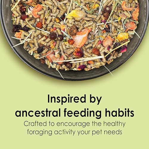 Kaytee Food from The Wild Natural Pet Guinea Pig Food,4 Pound,(Pack of 2) - image 2