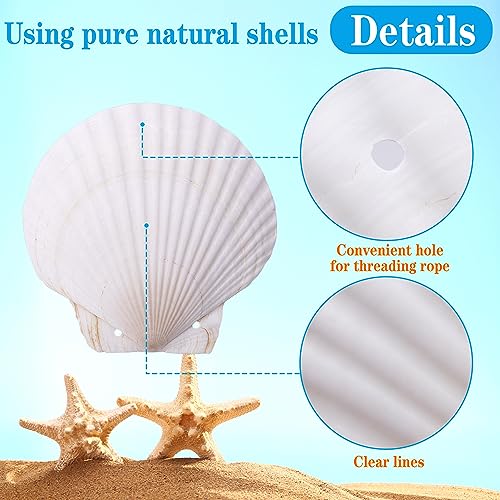 2 Pairs Seashell Bra with Cord- 4.5" x 5" DIY Natural Shell Bikini Top- Hawaiian Mermaid Seashell Chest Tops for Women Bikini Parties Supplies3