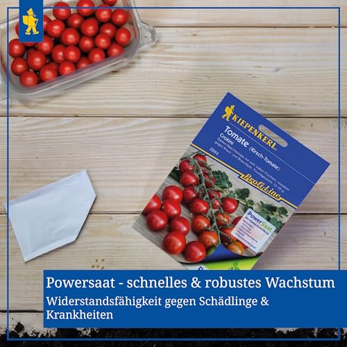 Kiepenkerl Profi-Line Kirschtomatensamen Crokini F1 Saatgut für Süße Cherrytomaten - Robuste Resistenzen gegen Pflanzenkrankheiten - Einfache Anzucht von Tomatenpflanzen im Garten, Gewächshaus & Kübel