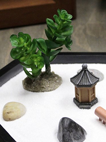 Nature's Mark Mini Zen Garden Kit For Desk With Rake, White Sand, Miniature Pagoda Figure, Black Hexagon Base, River Rocks, Miniature Succulent #TOP1