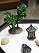 Nature's Mark Mini Zen Garden Kit for Desk with Rake, White Sand, Miniature Pagoda Figure, Black Hexagon Base, River Rocks, Miniature Succulent