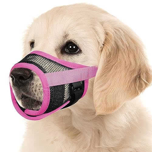 What's The Best Dog Muzzles By An Expert Glory Cycles