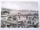  AK Königstein/Taunus, Königsteiner Bausteine, Die Königsteiner Anstalten, Panorama, Ungelaufen.