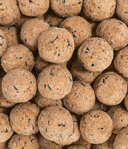 Dehner Natura Premium Meisenknödel ohne Netz, Insektenknödel, ganzjähriges Wildvogelfutter proteinreich / energiereich, 100 Stück je 90 g (9 kg), Karton aus FSC-zertifizierter Produktion