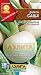 Produktbild Samen von Daikon Sasha 1 g Aelita    S0423