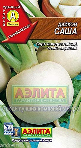 Preisvergleich Produktbild Samen von Daikon Sasha 1 g Aelita S0423