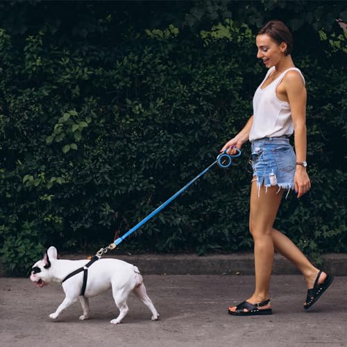 Image of Amazon Basics Retractable Dog Leash | 5 Meter | for Large Dogs Up to 50 Kg | Heavy Duty Leash for Pets | Strong Nylon Tape, Anti-Slip Handle, Built in Spring, One-Click Brake Pause | Blue
