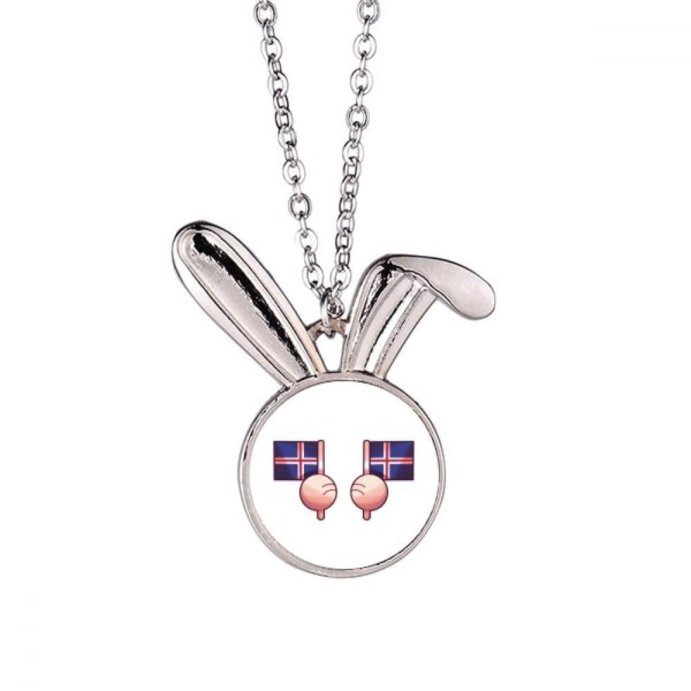 Collier lapin drapeau Islande pendentif ras de cou chaîne ajustable - 5