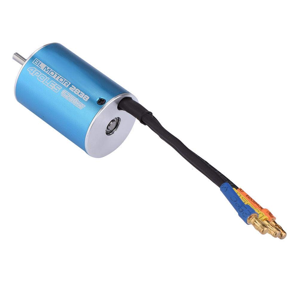 Dilwe Motor sin Escobillas del Coche RC, 4 Postes 2838 4700KV / 6200KV Motor sin Escobillas para 1/12 1/14 RC Accesorio de la Pieza del Coche(6200KV
