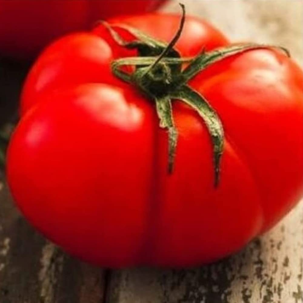 250 Beefsteak Tomato Seeds | Non-GMO | Fresh Garden Seeds