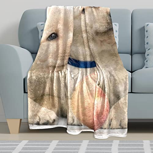 Couverture polaire douce Labrador literie complète et décorative