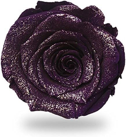 アモローサ Amorosa DI-PIN-04 Preserved Flowers, Diamond, Feminine Pink, 3 Wheels