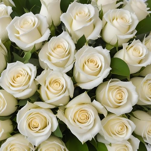 Arabella Bouquets 100 Fresh White Roses | Arabella Bouquets | Bulk Flowers For Delivery, Birthday, Congratulations, Best Wishes thumb #1