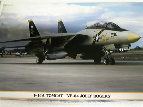 Amazon | ハセガワ 1/48 F-14Aトムキャット VF-84ジョリー