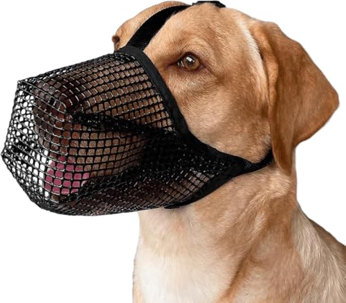 NDGBNIKGPppցAʖih~A^E^ɓKĂAƋ̑h~AݕȖh~Arߖh~ATCY\Aybgp}XN (ubN,M)