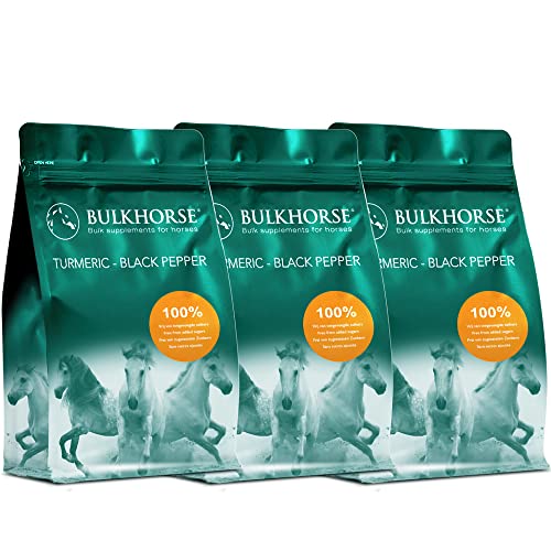 BulkHorse Kurkuma + schwarzer Pfeffer | KURKUMA für die GELENKFUNKTION und VERDAUUNG | 100{63a4101efdff2b42fb80fb7004de6ab97780506a627879536bbf2fa3dc590127} frei von zugesetztem Zucker | 3000 g