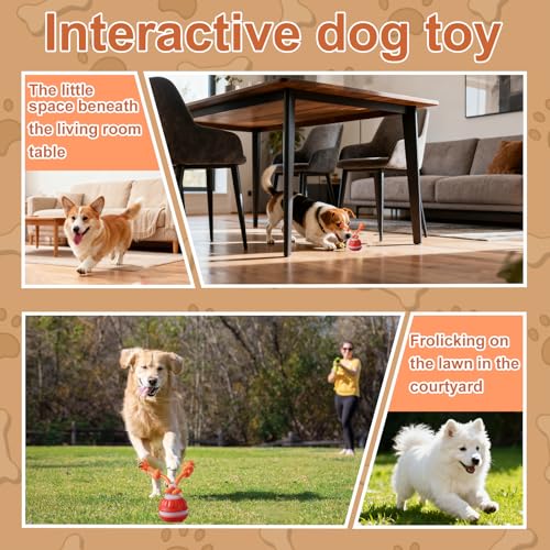 Interaktives Hundespielzeug, Interaktiver Spielball für Hunde, Hundespielzeug Unzerstörbar, Elektrisch Hundespielzeug Ball mit Fernbedienung, 3 Spielmodi, Hundespielzeug Ball für Katzen (orange1)