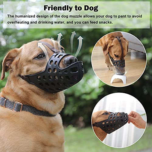 dog muzzle for vet visit