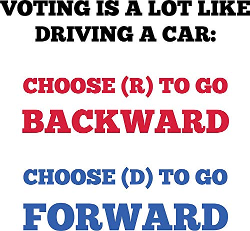 Vote It's Important Sticker - Silver Vinyl Decal 5.5x2 Inches For Cars, Laptops, Notebooks