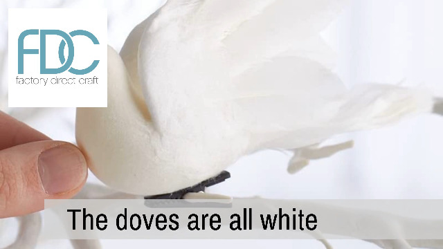 Amazon.com: Factory Direct Craft Pack of 12 Open Winged Artificial