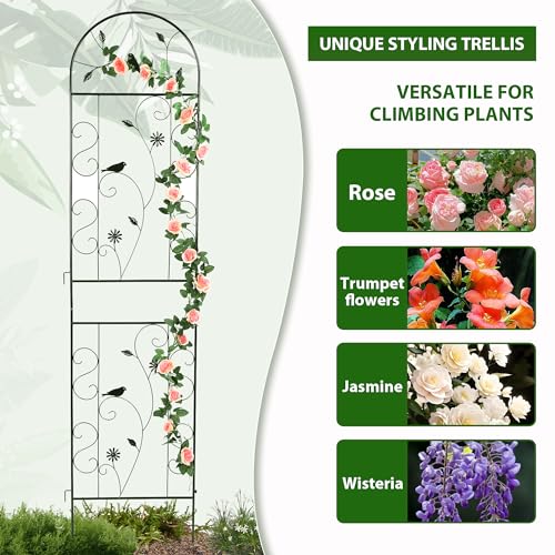 Treillis de jardin en fer noir arqué avec structure renforcée anti-intempéries
