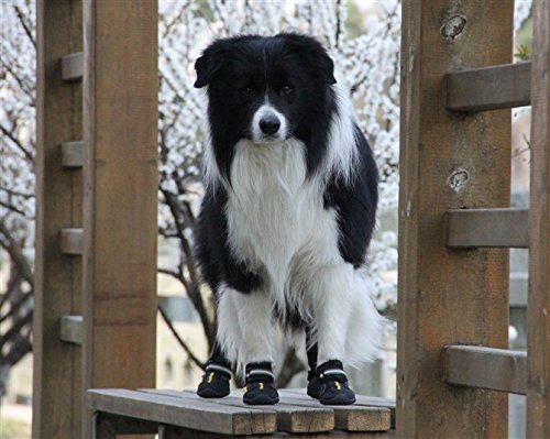 Colorfulhouse Labrador Husky Waterproof Shoes for Medium to Large Dogs, 5(2.7x2.2-Inch), Black, 4 Pcs