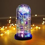 🌹🌹【Einzigartiges Und Perfektes Geschenk】Punvot Die Schöne Und Das Biest kann tagsüber und nachts für die Dekoration von Wohnräumen verwendet werden oder eine romantische Atmosphäre schaffen, Rose Geschenk ist für Lehrertag,Hauptdekoration, Valentinstag, Jahrestag, Hochzeit, Geburtstag, Weihnachten und Einweihungsparty.