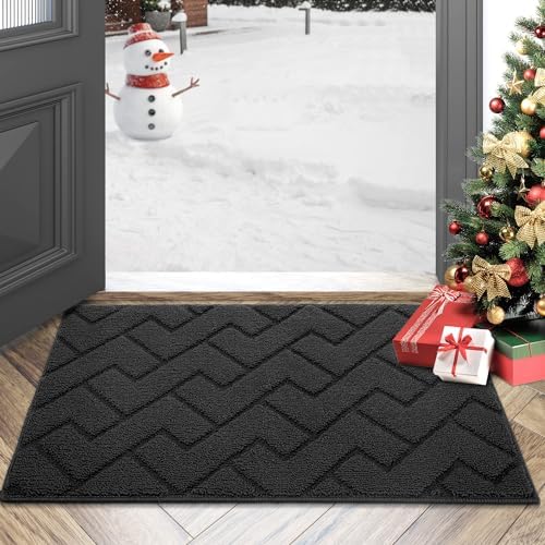 Color G Door Mats Indoor, 60x90cm, Washable Front Door Mat Inside for