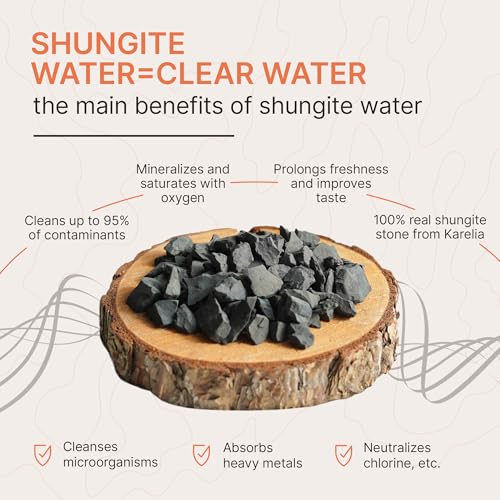 Karelian Heritage Raw Shungite Stones for Making Healthy Shungite Water 1 lb | Water Purification Filtering Authentic Shungite Rock | Alkaline Drinking Mineral Stone | Natural Organic Fertilizer SW053