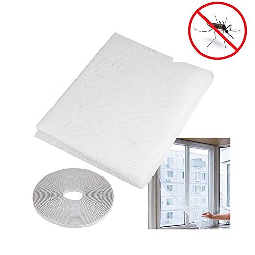 NaiseCore autoadesiva grande schermo finestra