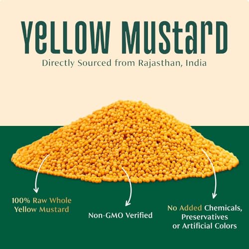 Image of VAHDAM, Yellow Mustard Whole (3oz /90g) Guten-Free, 100% Raw Whole Yellow Mustard Seeds Whole for Cooking & Pickles | Perfect for Cooking | Direct from Source