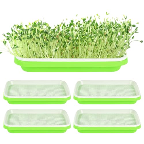 5 bandejas para brotes, juego de cultivo de brotes, berros, recipiente para germinar pasto de trigo, bandeja de germinación, para el cultivo de frijoles mungo alfalfa y hierba de trigo, 32,5 x 23,5 x