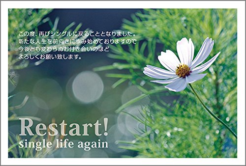 10枚入り 離婚報告はがき SMSF-13 10枚入り 離婚報告はがき SMSF-13