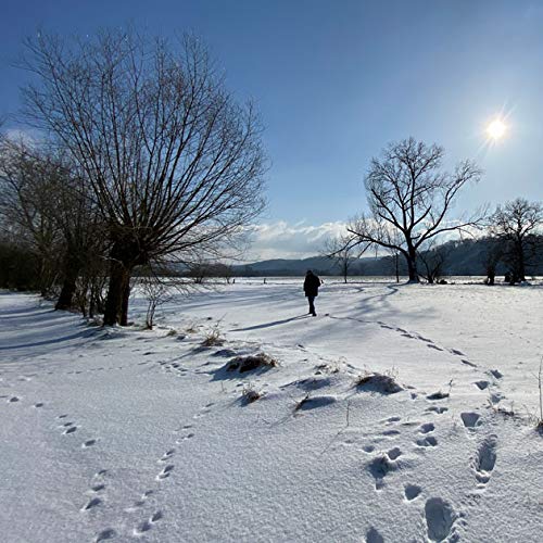 Lauschausflug im Schnee... | DSWR007