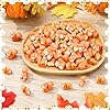 GGSTDDUP 50 Pcs Mini Resin Squirrel Tiny Squirrel Miniature Animal Figurines for DIY Cake Decoration Ornaments Crafts Moss Landscape #3