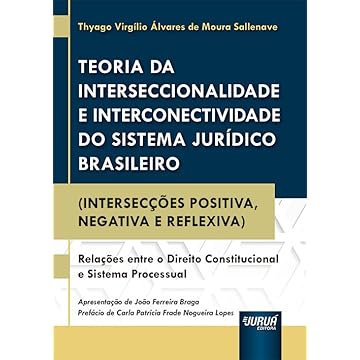Capa do livro Teoria da Interseccionalidade e Interconectividade do Sistema Jurídico Brasileiro