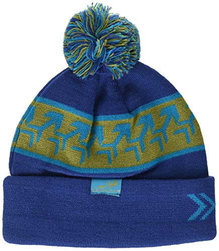 Headsweats Pom Beanie Cover