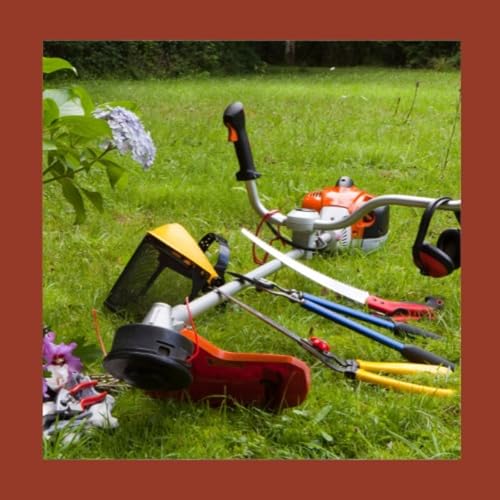 #219 Giardino facile da gestire: meno prato, pi&ugrave; biodiversit&agrave;