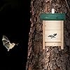 Relaxdays, nature, abri à chauve-souris, Niche en bois non traité de sapin, Maison, Boîte HxLxP : 25,5 x 18 x 6 cm, vert
