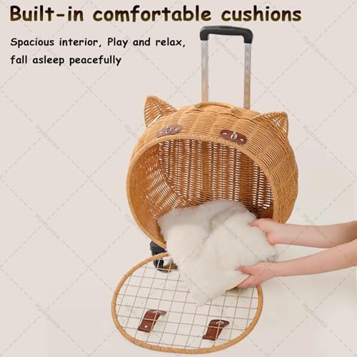 Maletín para mascotas ventilado que soluciona los traslados pesados 5