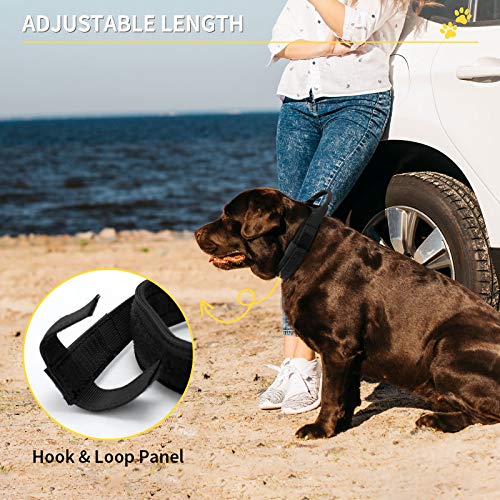 Huntvp taktisch Hundehalsband Verstellbar mit Kontrollgriff, aus Nylon, gepolstert, Metallschnalle, für Mittlere Große Hunde Jagd Training Freizeit Outdoor, Schwarz M