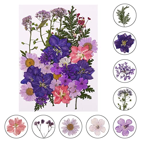 Yorgewd Ensemble de Fleurs Séchées Pressées Naturelles, Vritable Fleurs Sches Mixtes Fleurs Presses pour Bricolage Art Dcorations Bougie Peinture Nail Cover