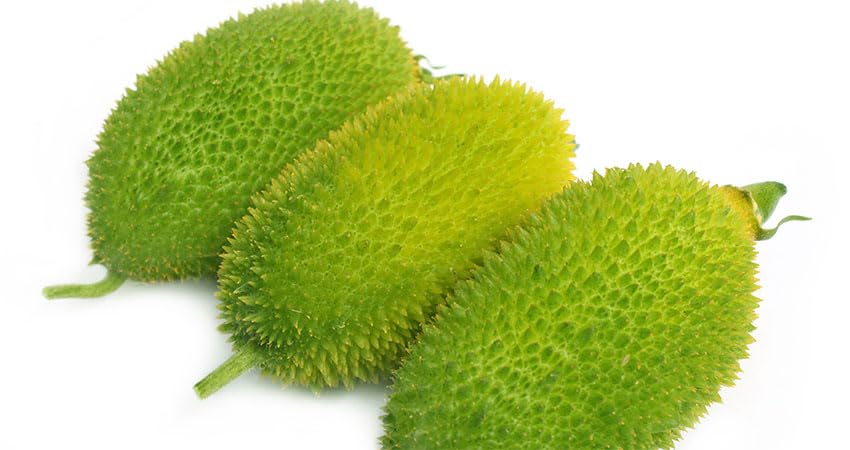 Shreesha Seeds Kantola Seeds, Kankoda Seeds, Kakrol Seeds, Hybrid Type Pack of 100 Seeds (B0CN9CPNY9) Amazon Price History, Amazon Price Tracker