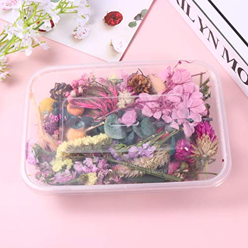 EXCEART Duas Caixas De Flores Secas Misturadas Várias Flores Prensadas Secas Flores Secas De Resina