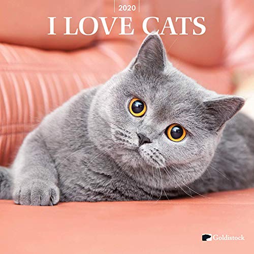 Goldistock 2020 Large Wall Calendar -"I Love Cats" - 12" x 24" (Open)