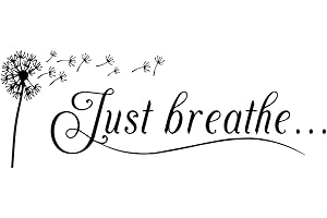 Inspirational Wall Decal - Just Breathe