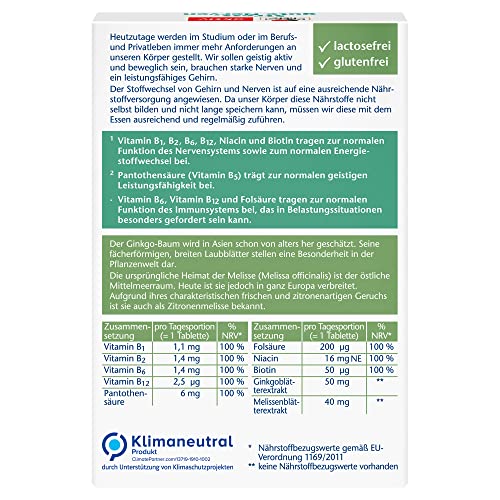 Doppelherz Stress - gute Nerven - mit den Vitaminen B1 & B5, mit Extrakt aus Melissenblättern & Ginkgo Biloba - 30 Mini-Tabletten (Packung mit 2)